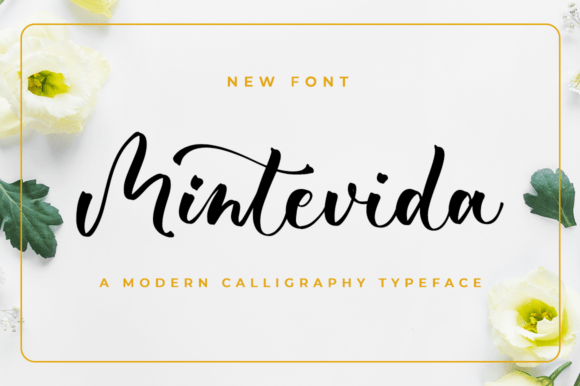 Font Choice That Speaks Volumes: Mintevida for Campaign Design