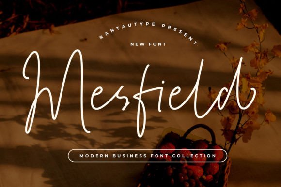 Mesfield: A Script Font That Elevates Digital Branding